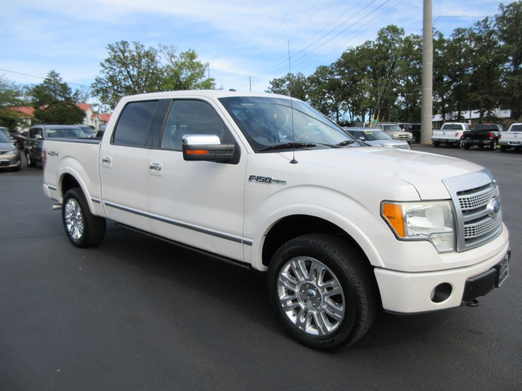 2010 Ford F-150 Image 3