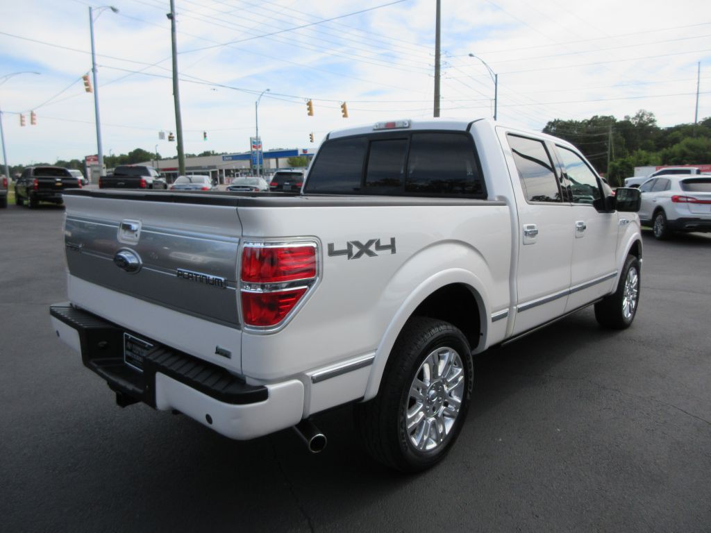 2010 Ford F-150 Image 4