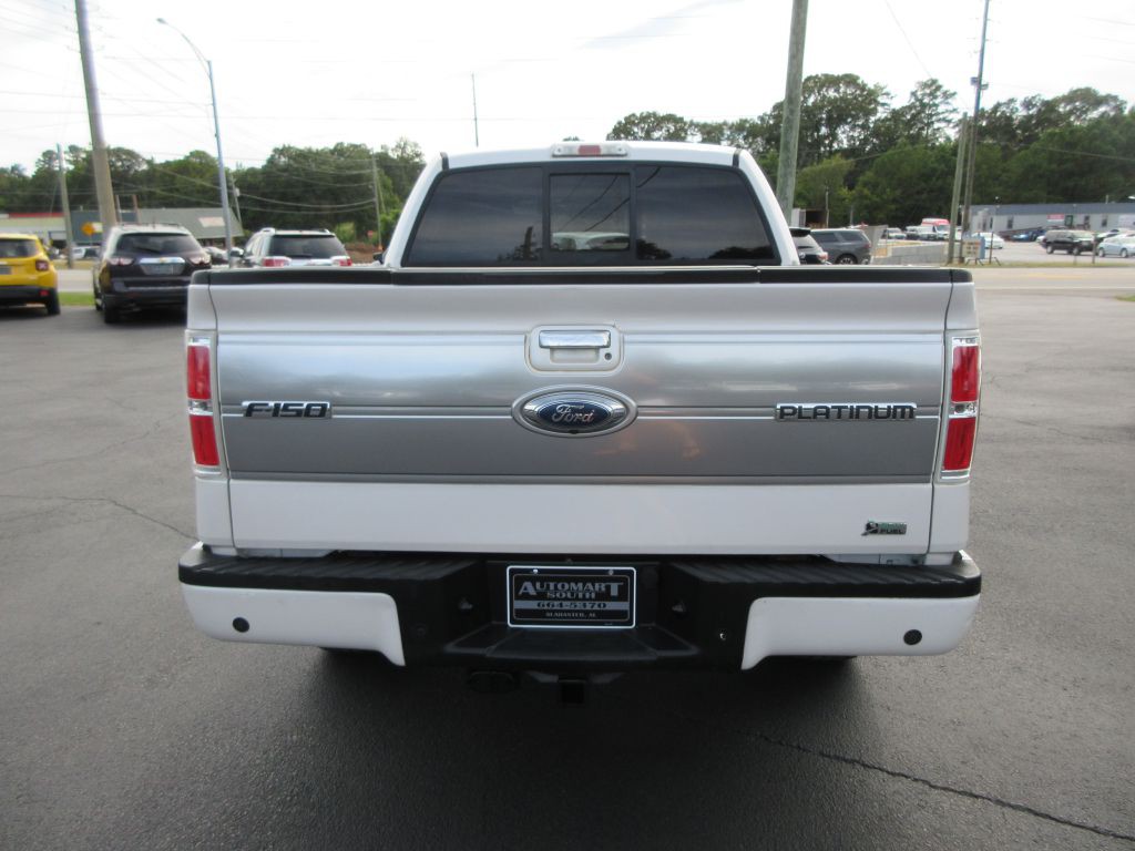 2010 Ford F-150 Image 5