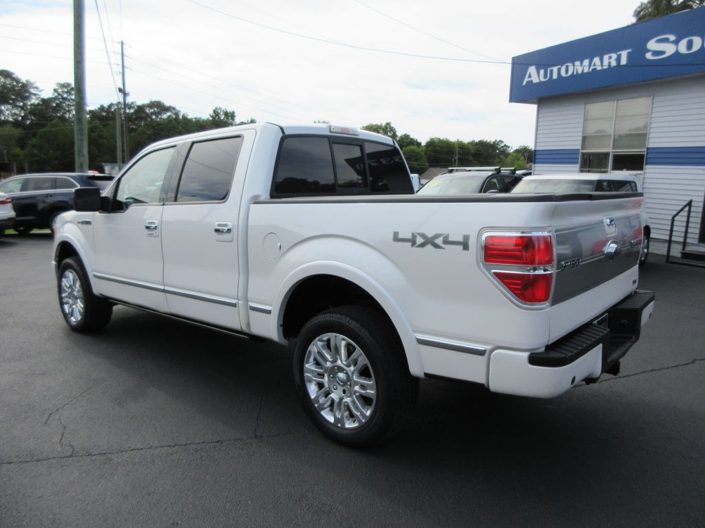 2010 Ford F-150 Image 7