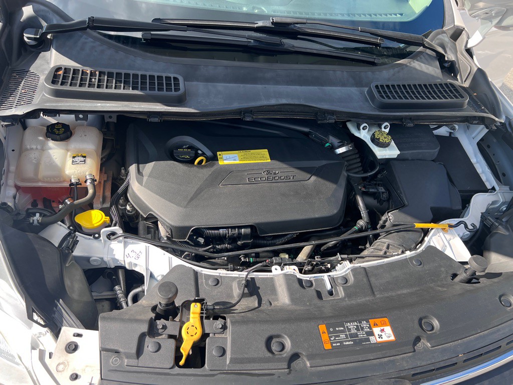 2013 Ford Escape Image 19