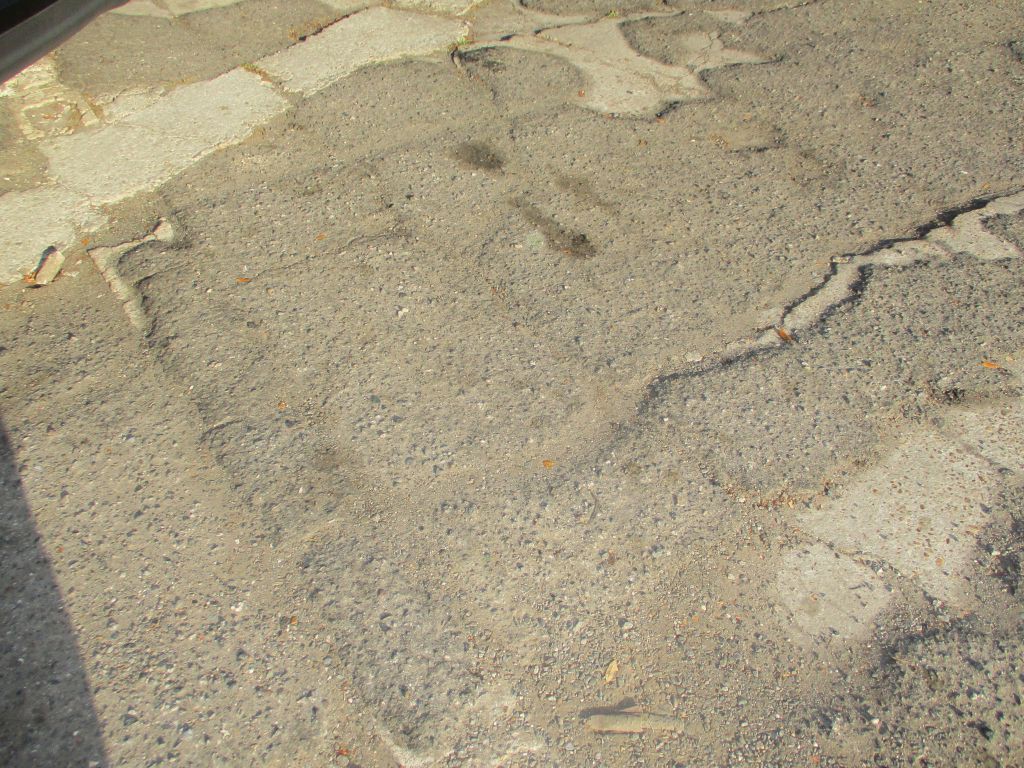 2019 Dodge Charger Image 5