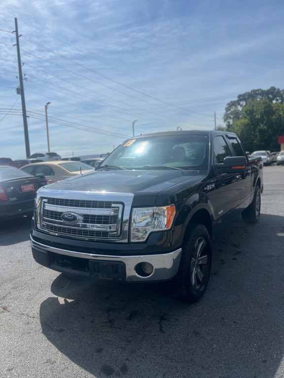 2013 Ford F-150 Image 3