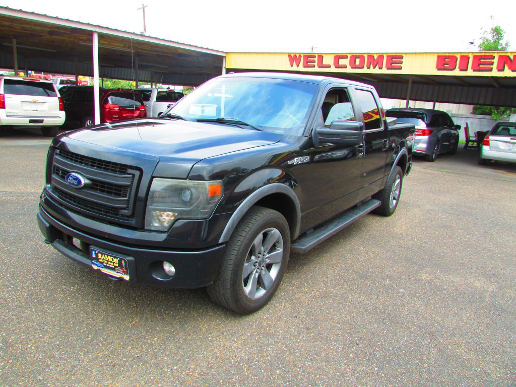 2013 Ford F-150 Image 1
