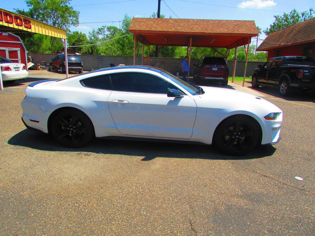2021 Ford Mustang Image 4