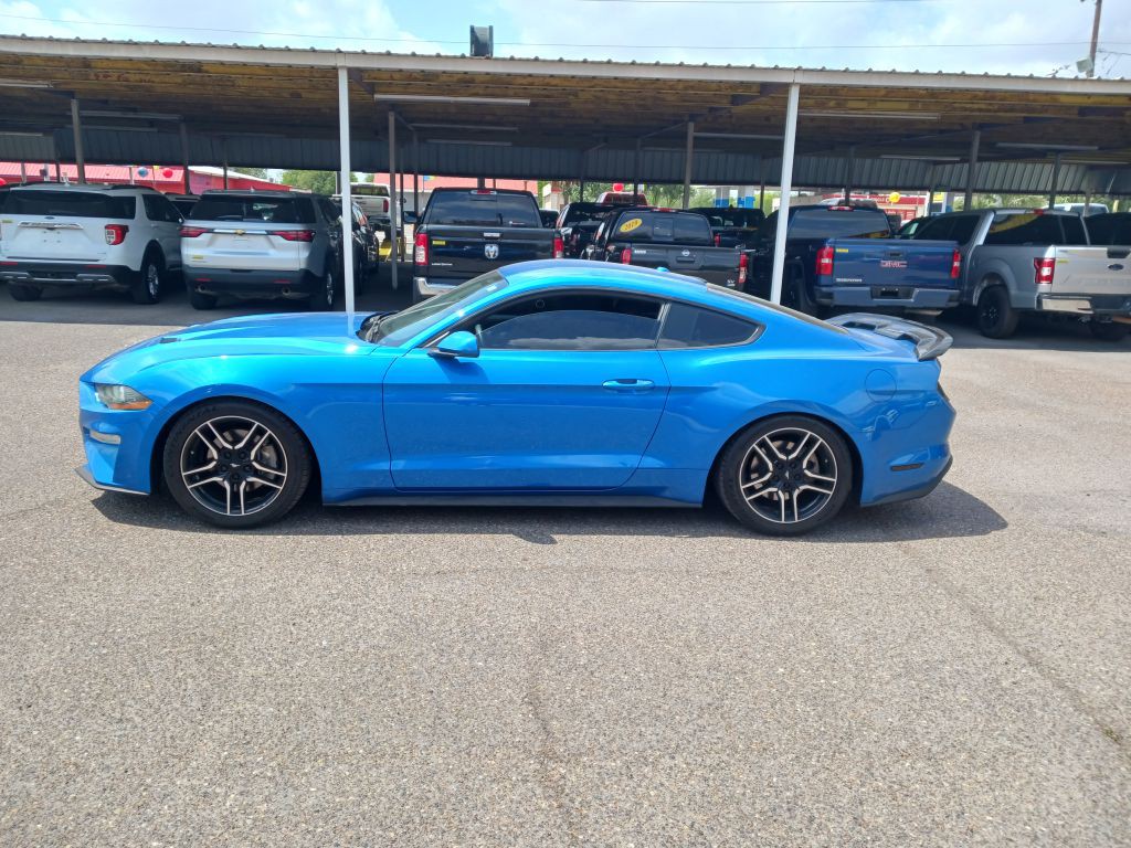 2019 Ford Mustang Image 5