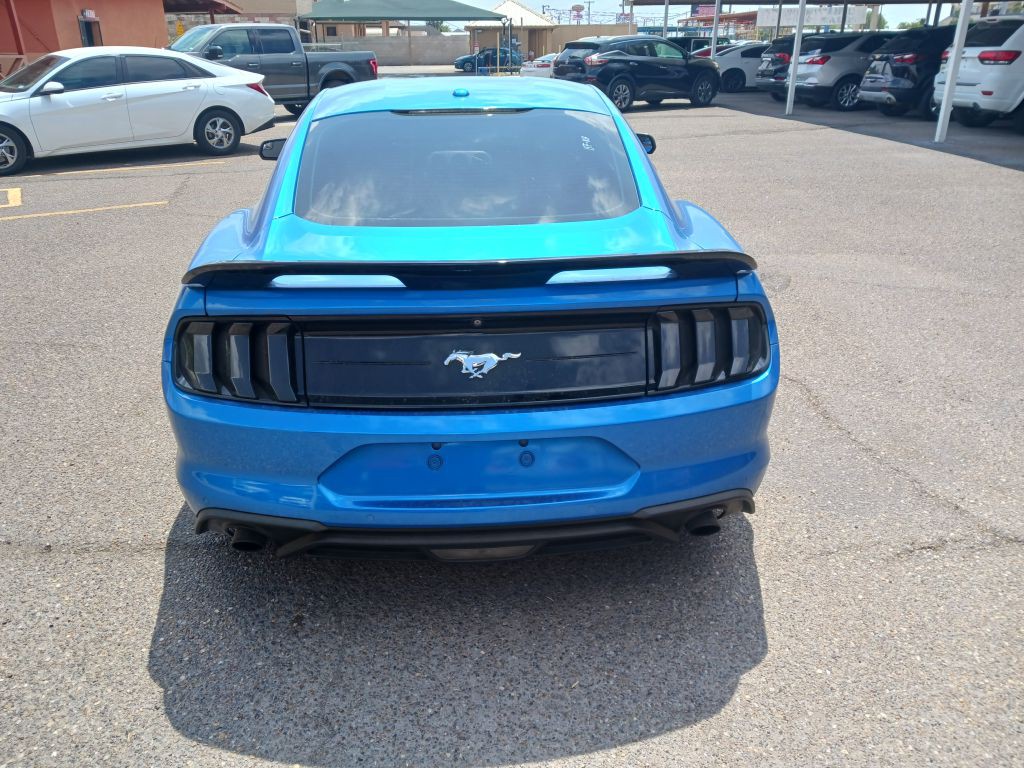 2019 Ford Mustang Image 6