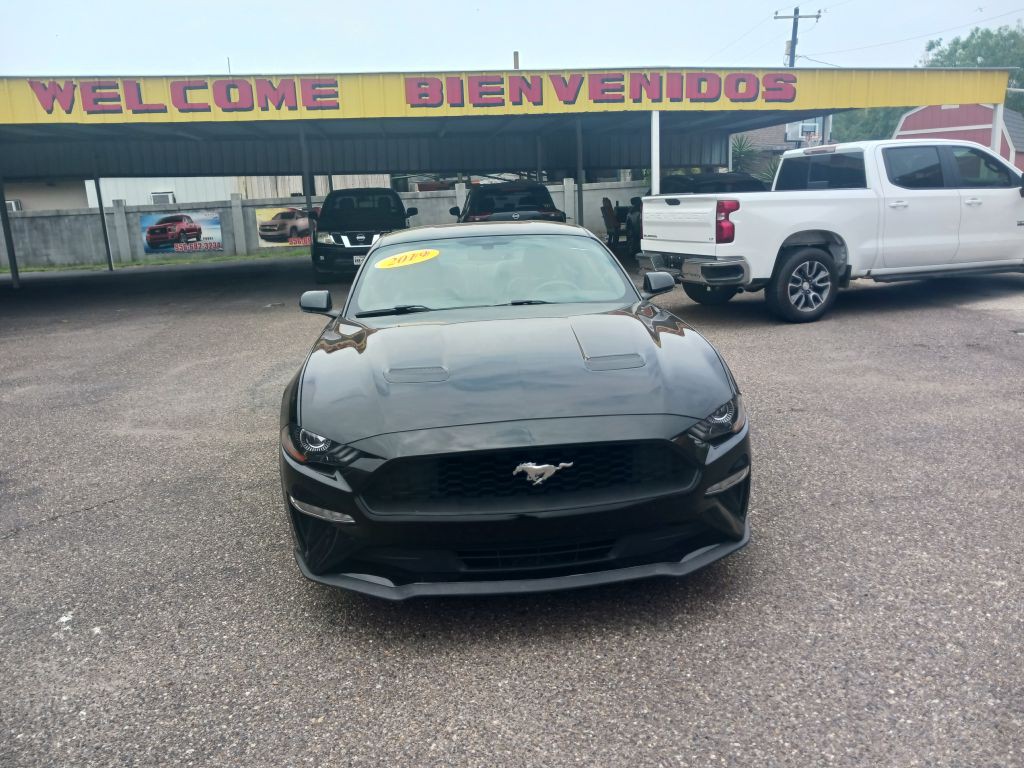 2019 Ford Mustang Image 3
