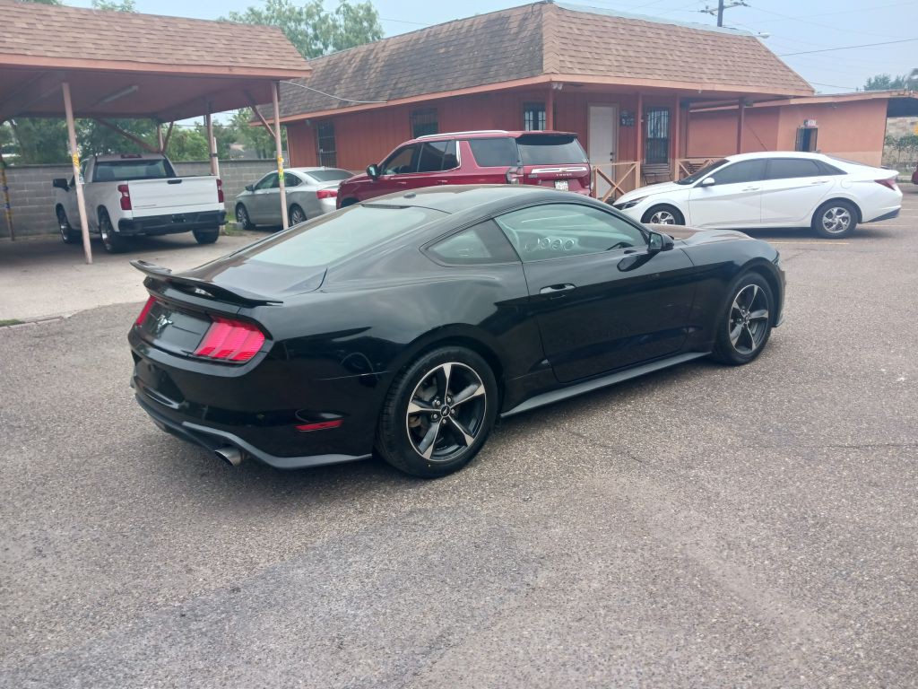 2019 Ford Mustang Image 6