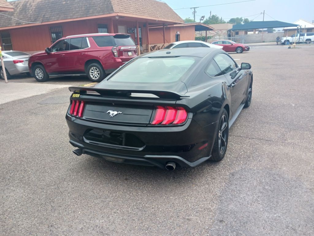 2019 Ford Mustang Image 7