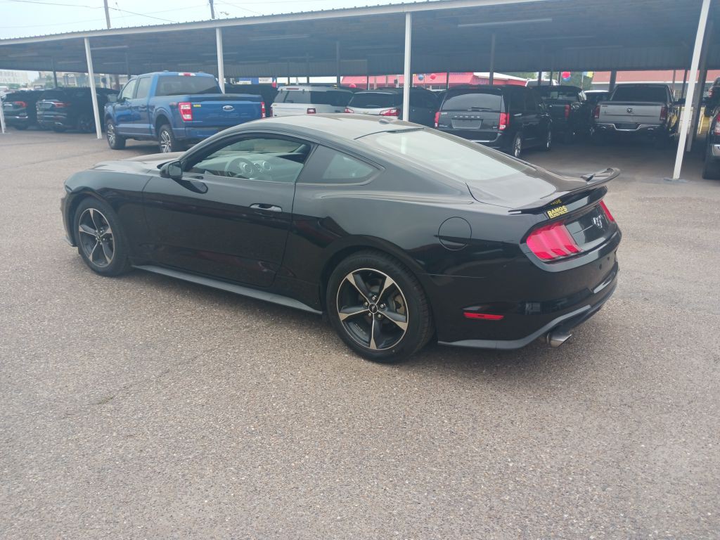 2019 Ford Mustang Image 8