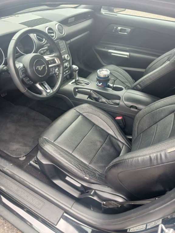 2019 Ford Mustang Image 10