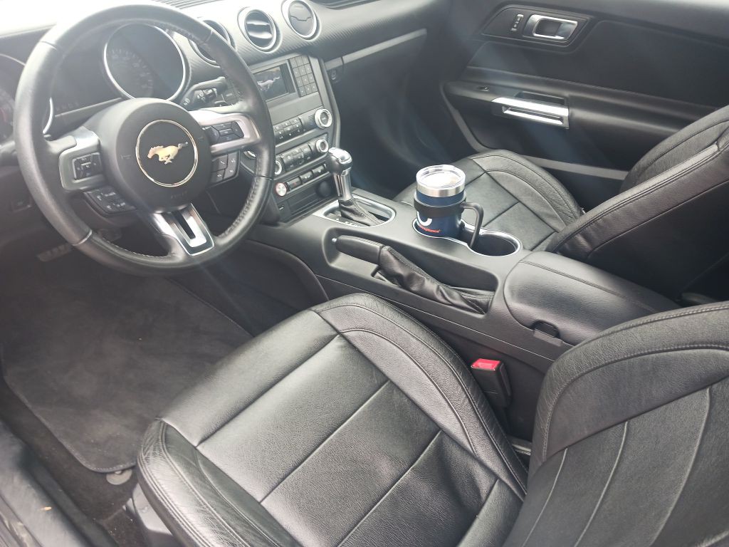 2019 Ford Mustang Image 11