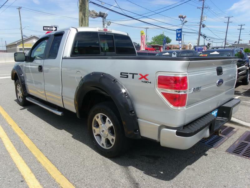 2010 Ford F-150 Image 4