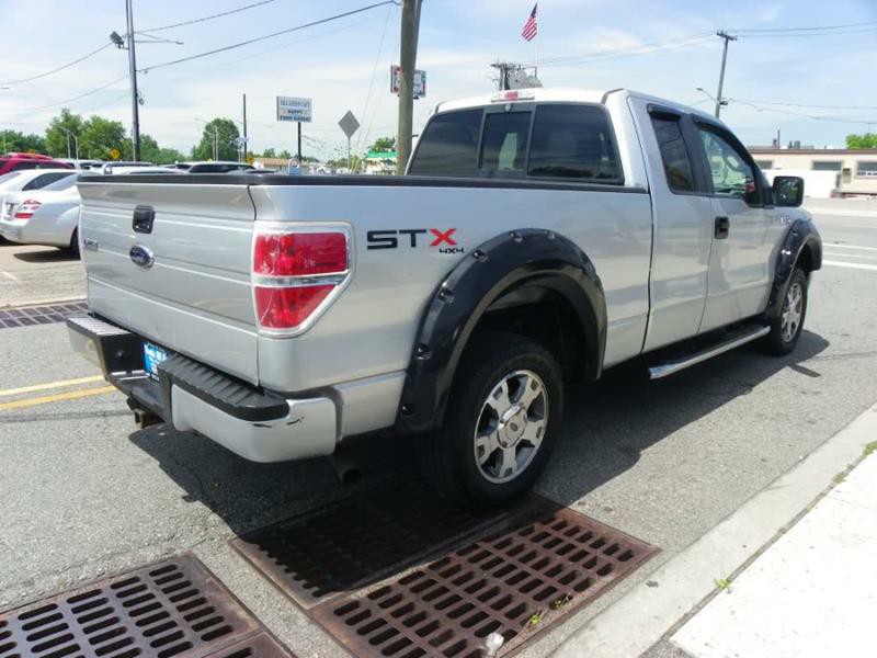 2010 Ford F-150 Image 3
