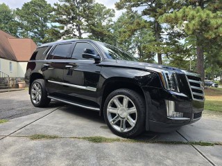 Image for 2019 Cadillac Escalade Luxury ID: 6819176