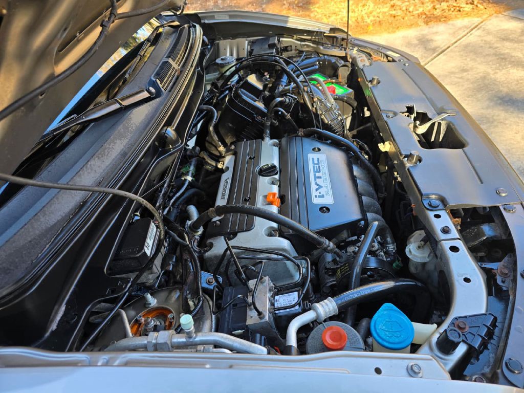 2004 Honda Element Image 28