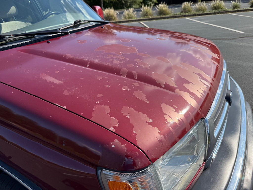 1999 Toyota 4Runner Image 45