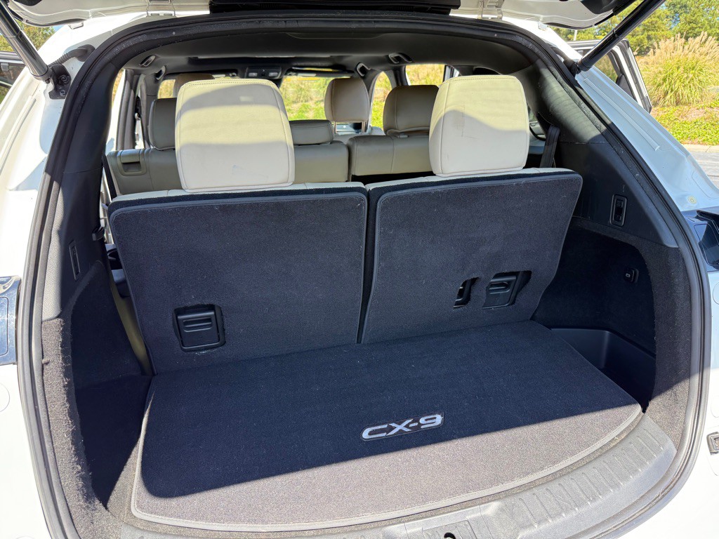 2017 Mazda CX-9 Image 19