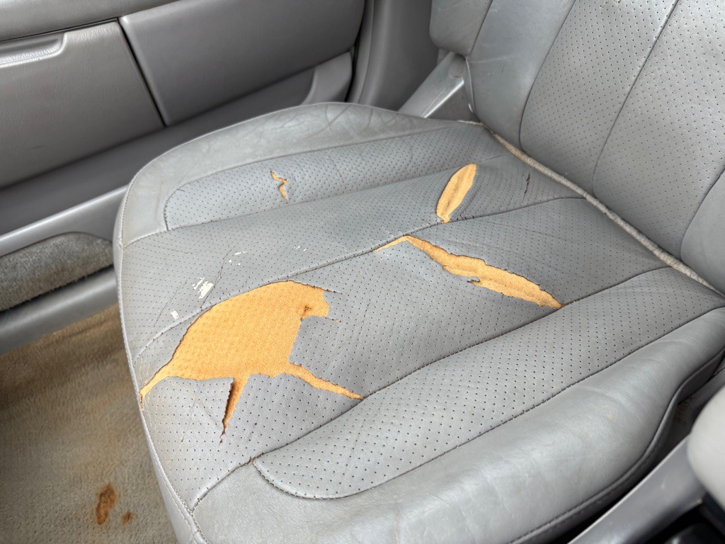 2004 Toyota Avalon Image 32