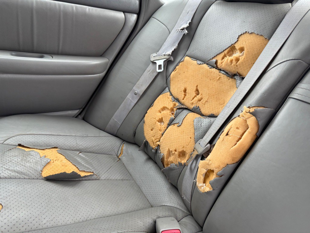 2004 Toyota Avalon Image 34