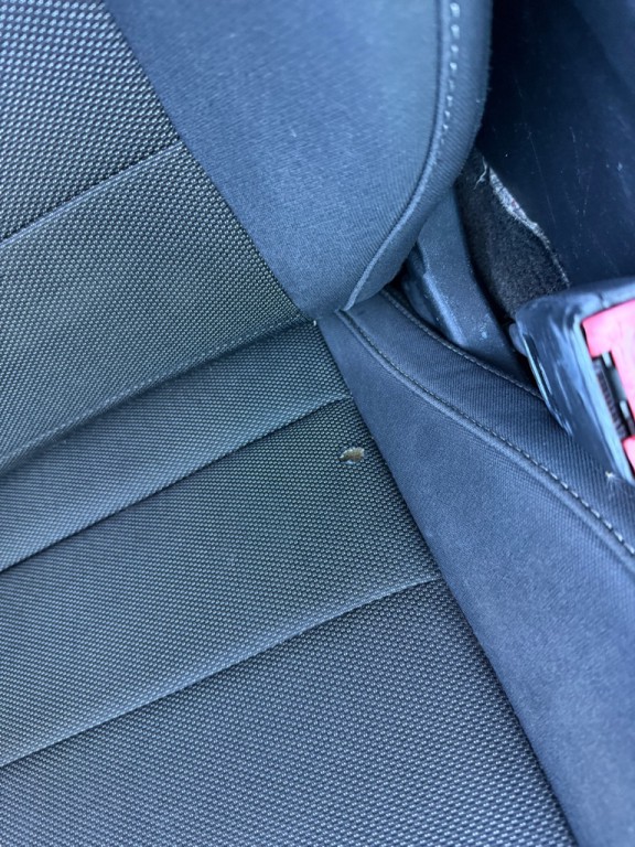 2016 Ford Mustang Image 40