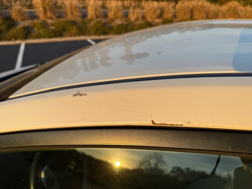 2010 Toyota Prius Image 35