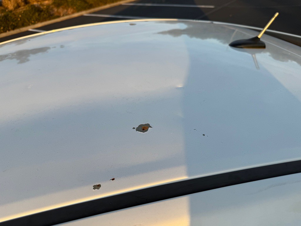 2010 Toyota Prius Image 36