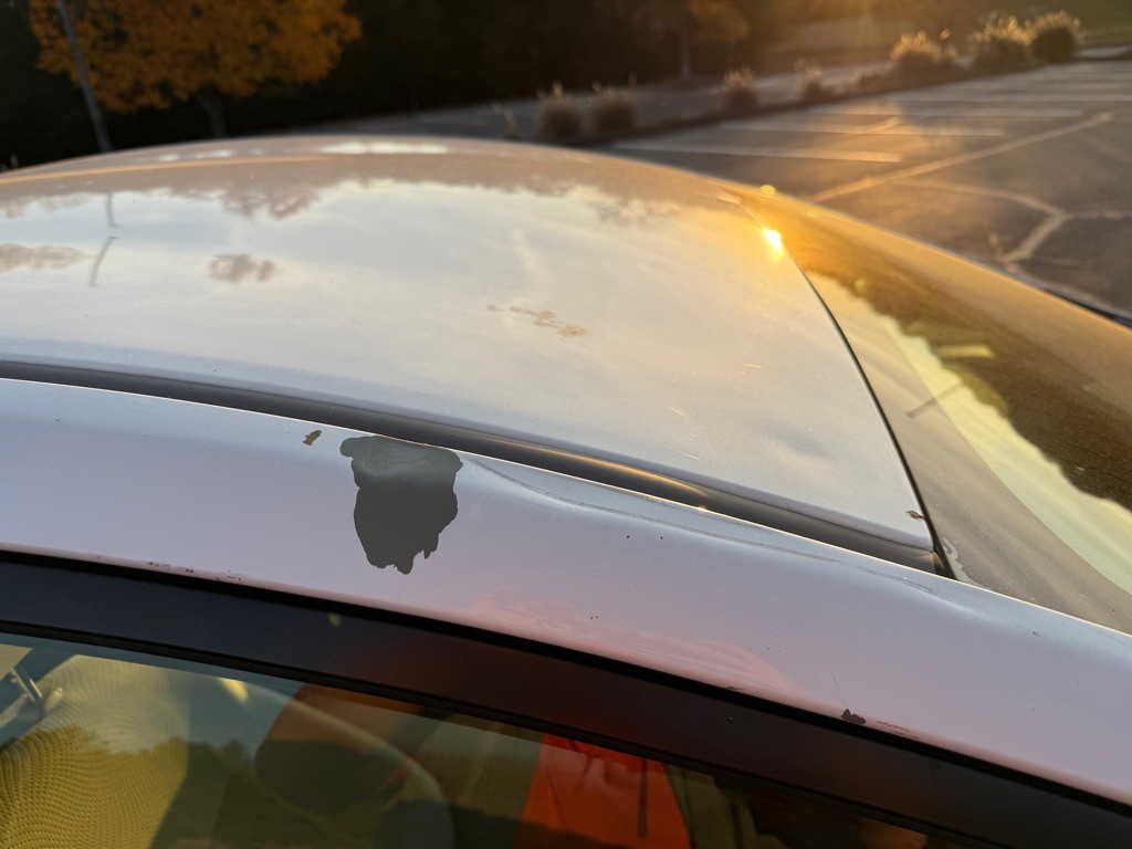 2010 Toyota Prius Image 39