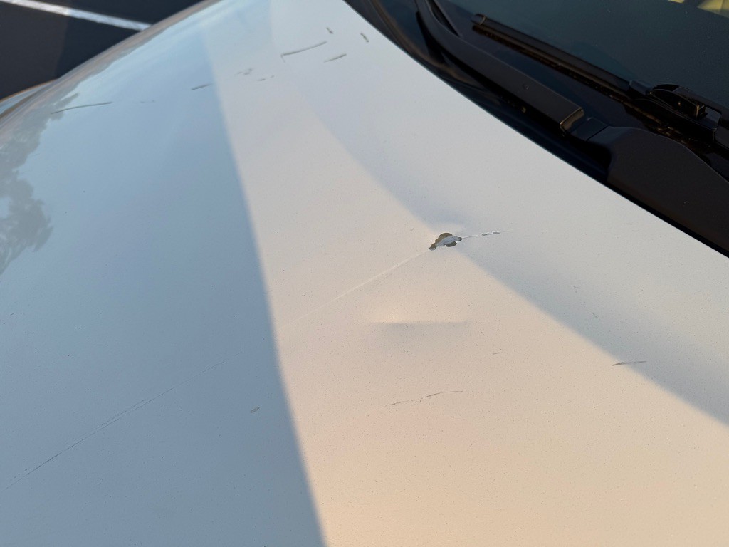 2010 Toyota Prius Image 42