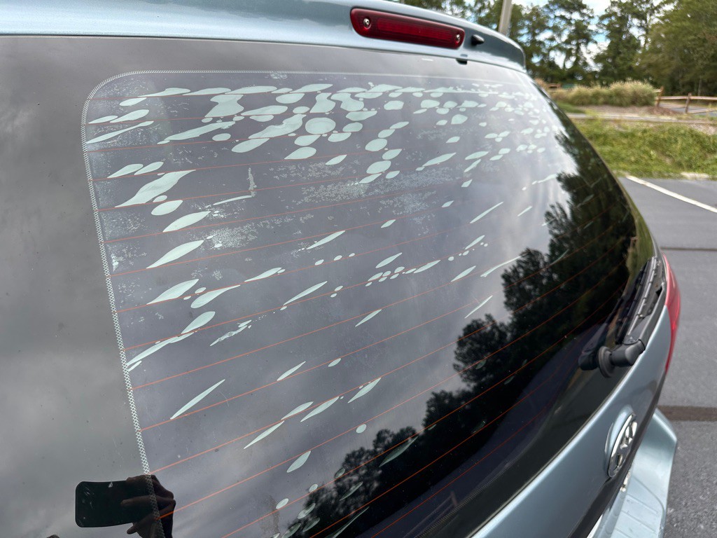 2006 Toyota Sienna Image 29