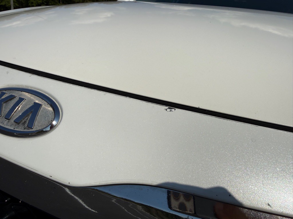 2012 Kia Optima Image 45