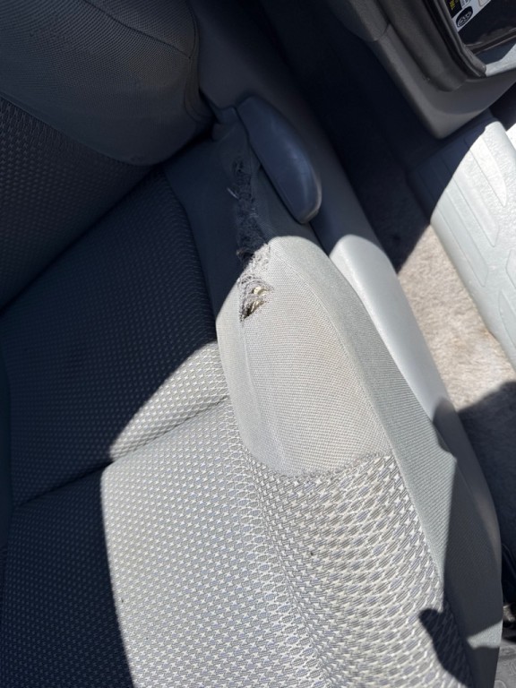 2009 Toyota Tacoma Image 33