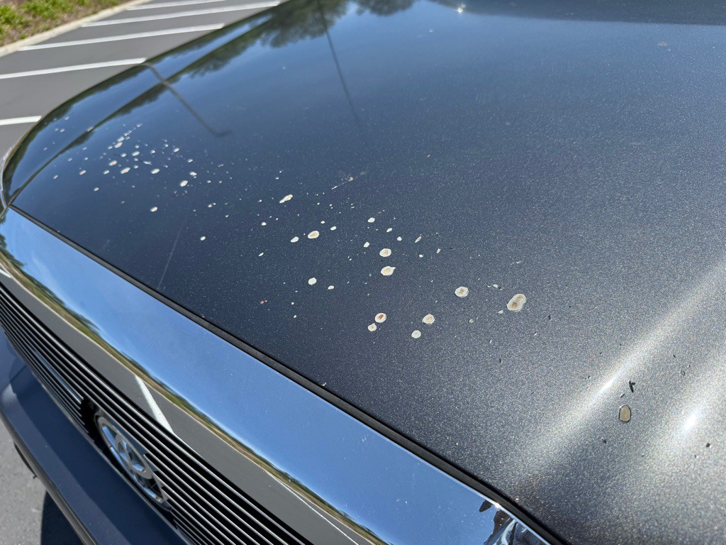 2010 Toyota Tacoma Image 51