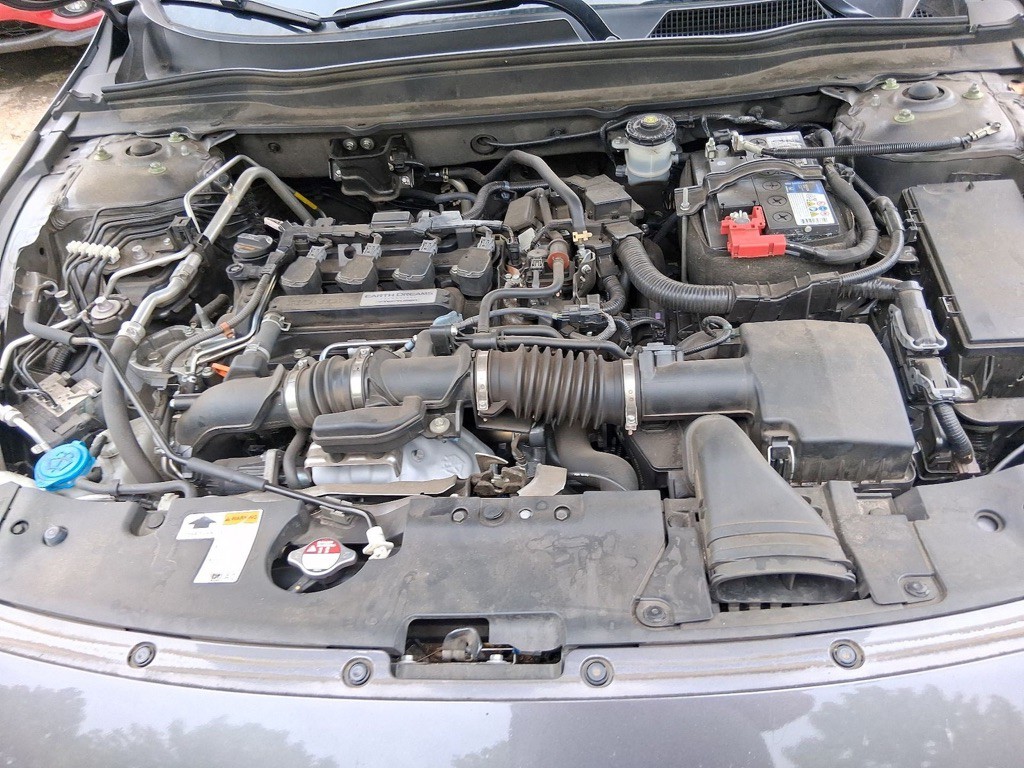 2019 Honda Accord Image 14