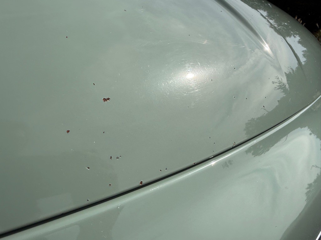 2012 FIAT 500 Image 35