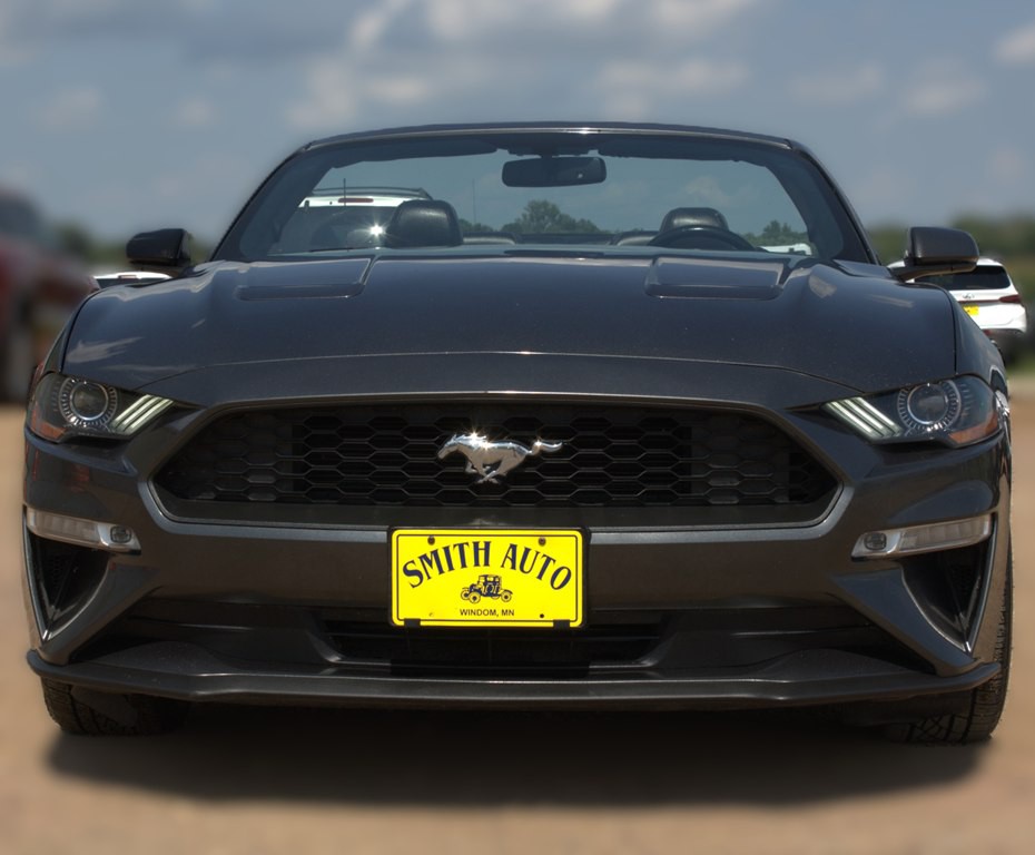 2019 Ford Mustang Image 2