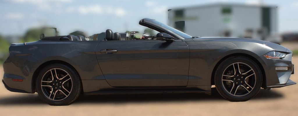2019 Ford Mustang Image 4