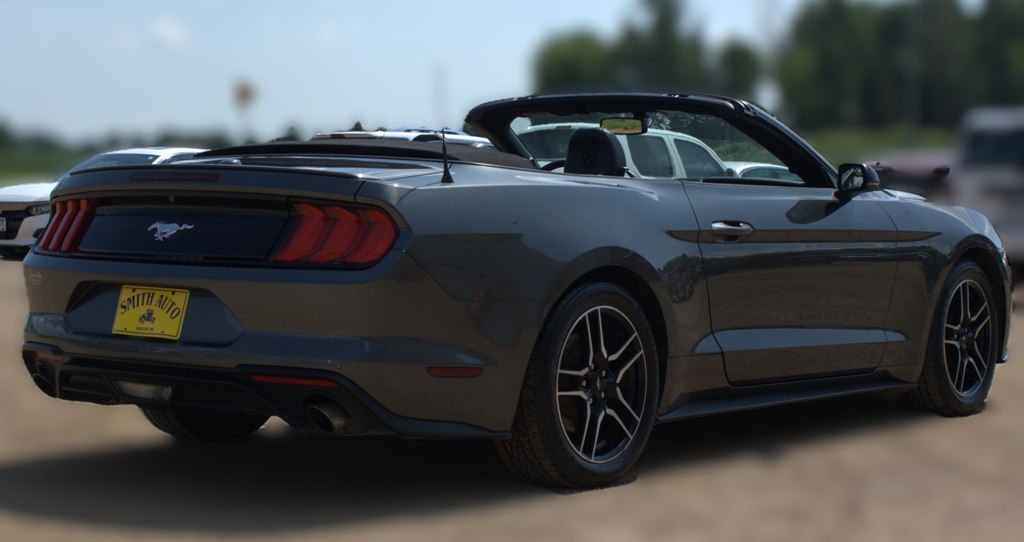 2019 Ford Mustang Image 5
