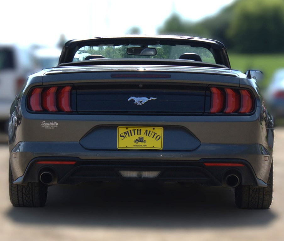 2019 Ford Mustang Image 6
