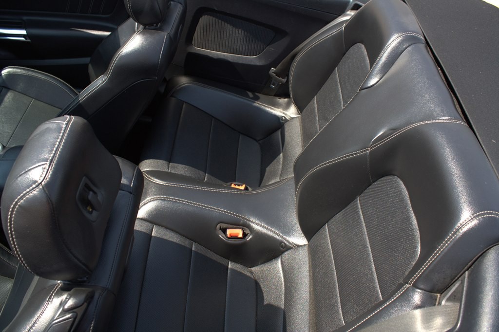 2019 Ford Mustang Image 8