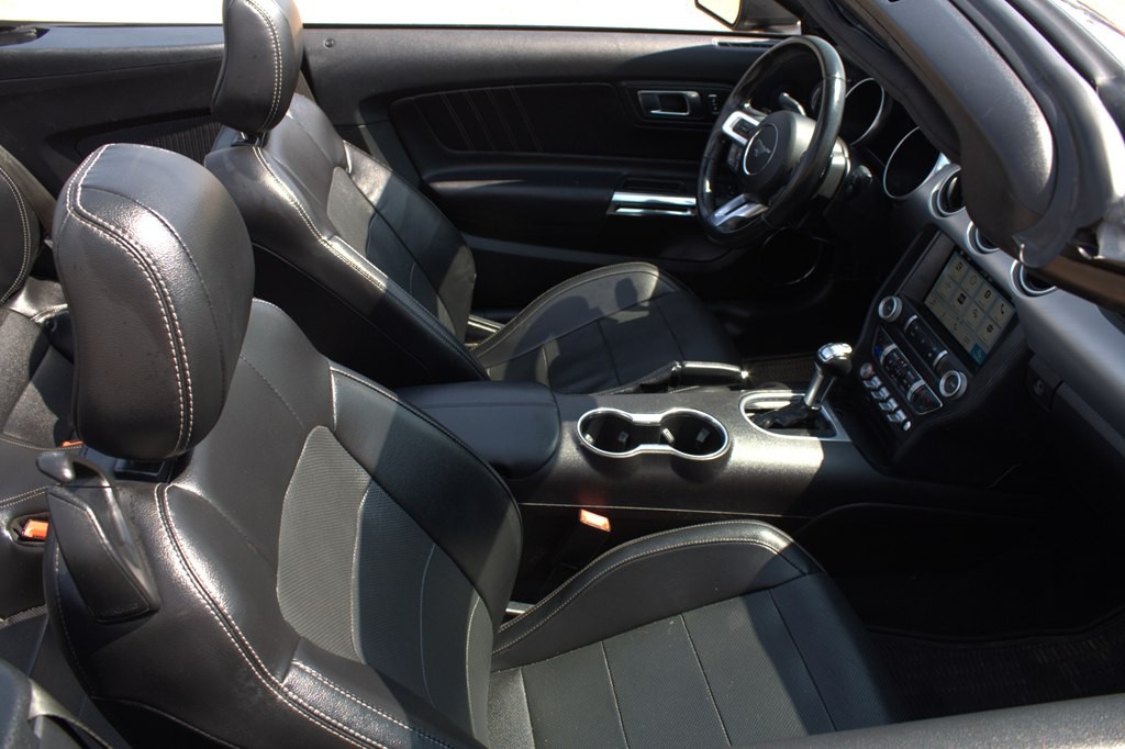 2019 Ford Mustang Image 15