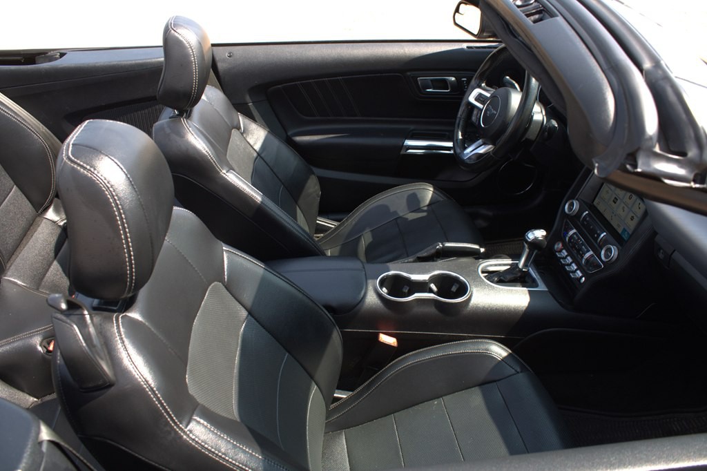 2019 Ford Mustang Image 16