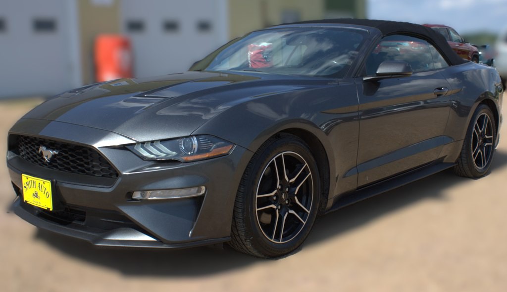 2019 Ford Mustang Image 18