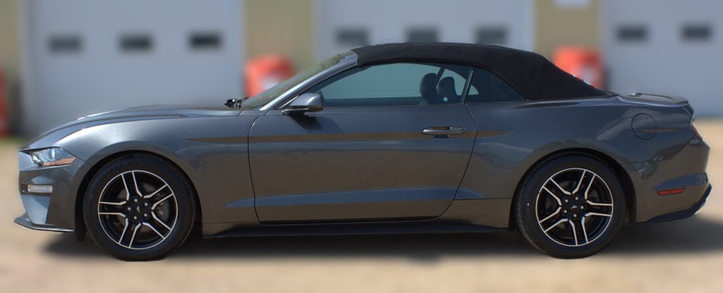 2019 Ford Mustang Image 19