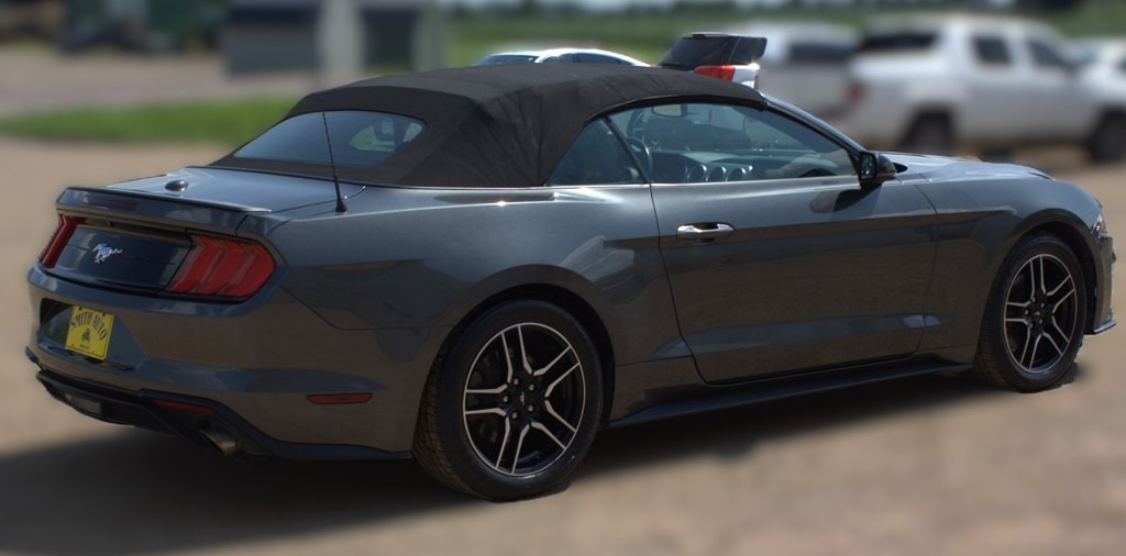 2019 Ford Mustang Image 21