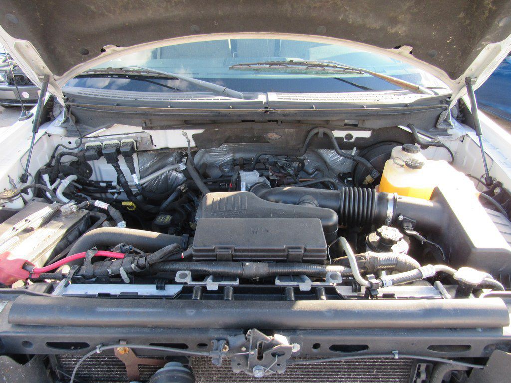 2010 Ford F-150 Image 18
