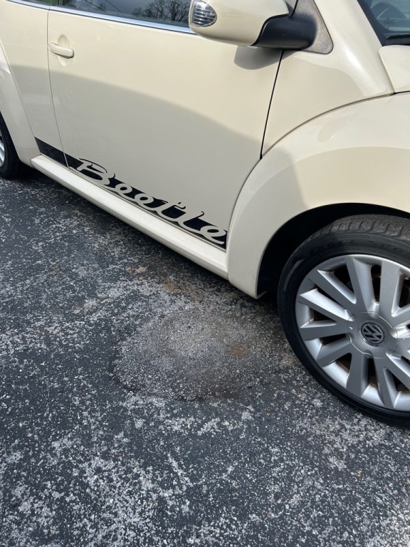 2009 Volkswagen Beetle Image 4