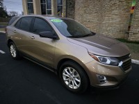 Image for 2019 Chevrolet Equinox LS ID: 7016887