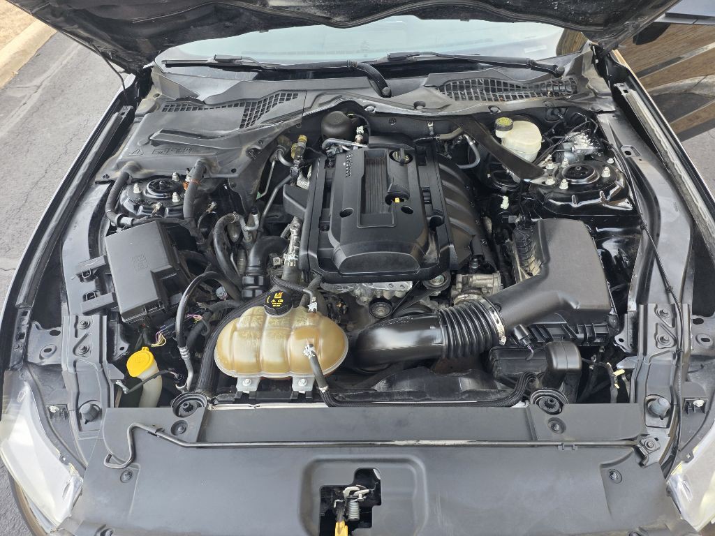 2015 Ford Mustang Image 15